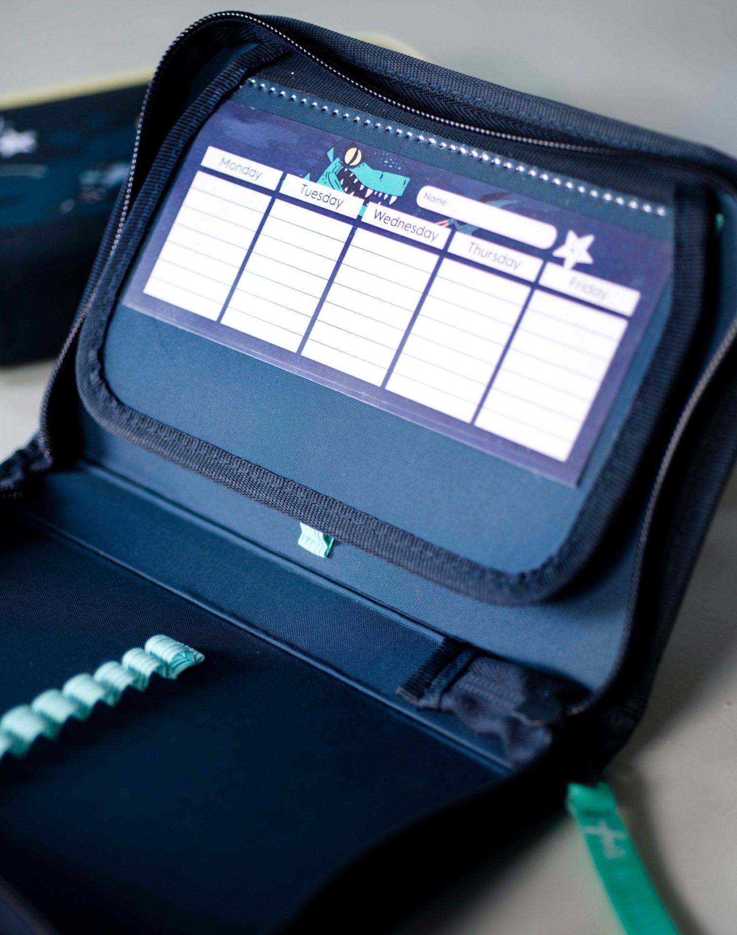 Pencil Case Dinosaur