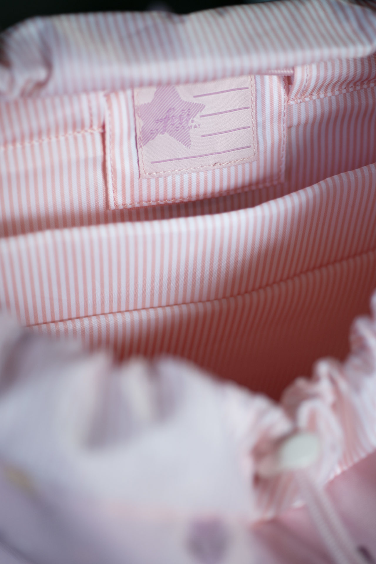 Butterflies School Backpack