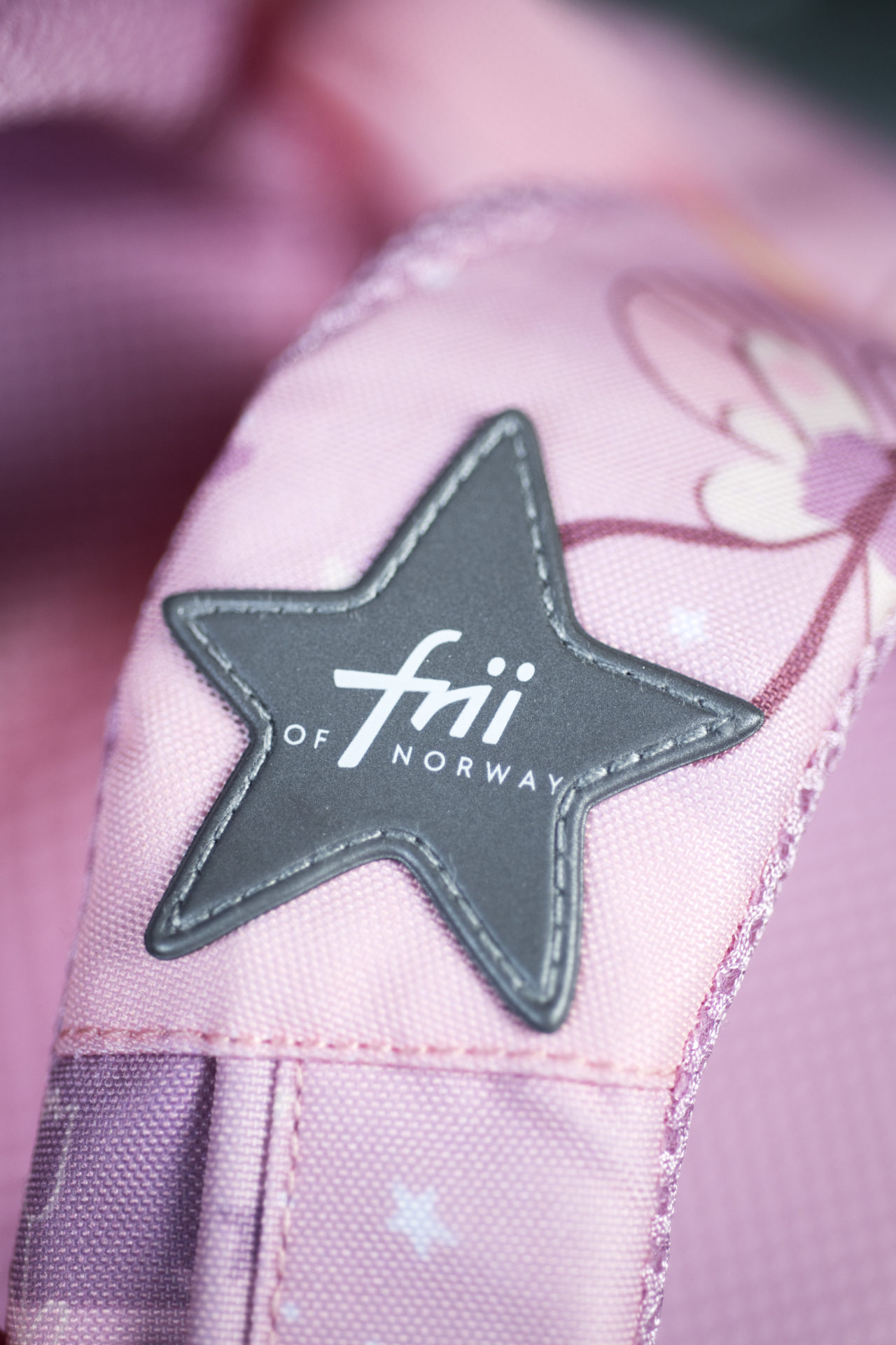 Butterflies School Backpack