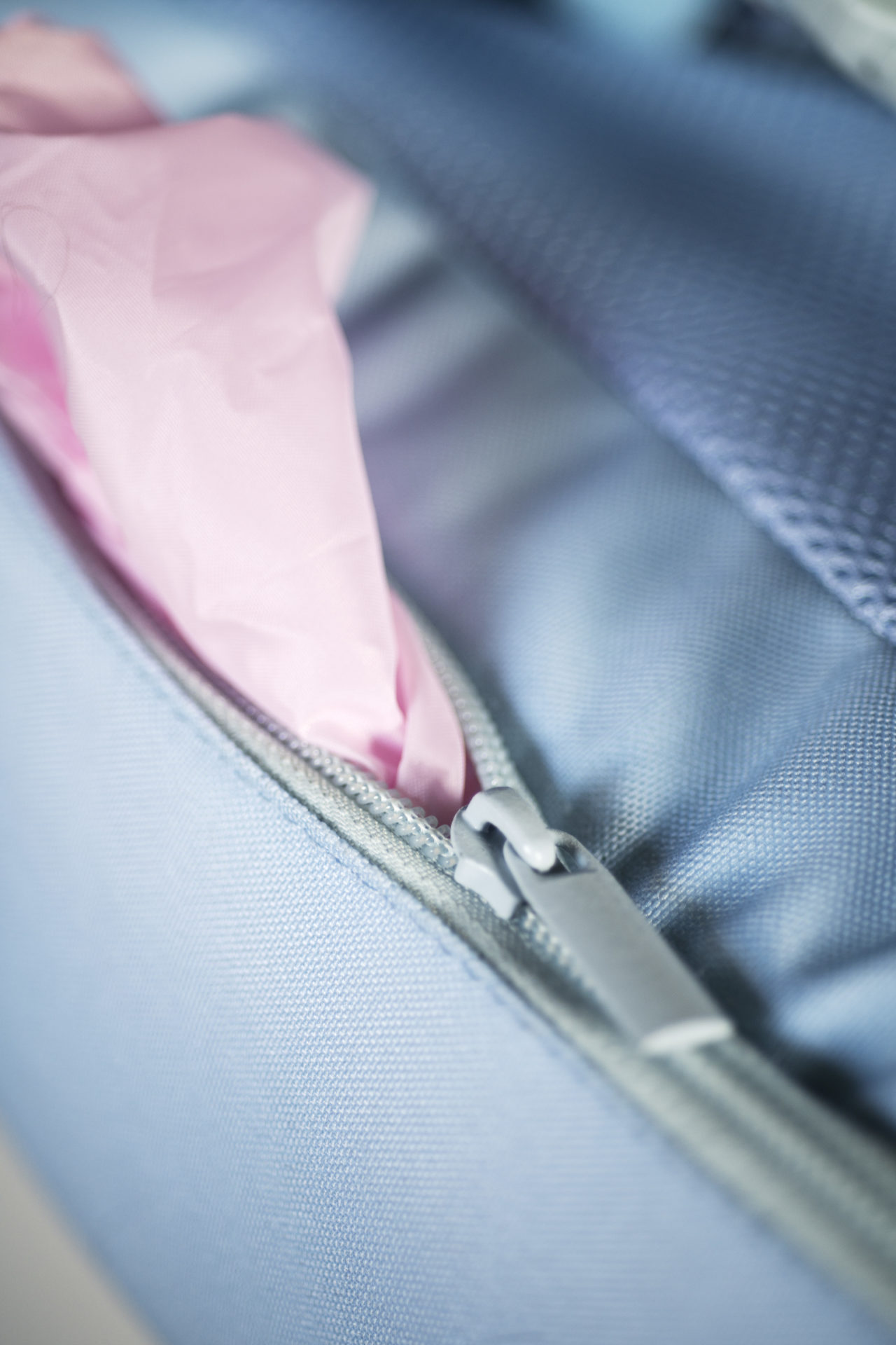 Fantasy Animals School Backpack