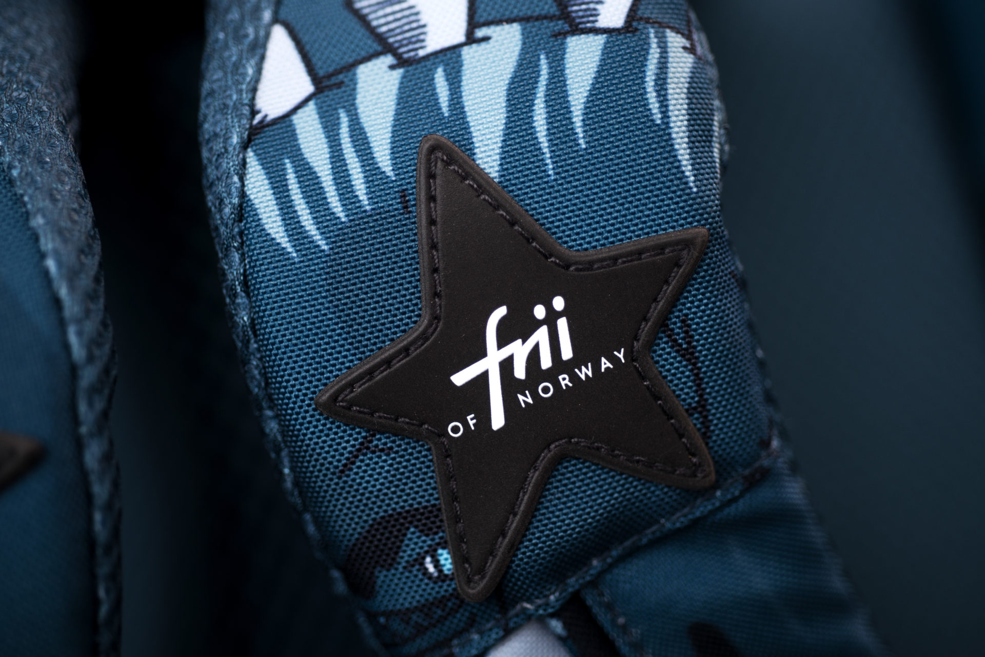 Dinosaur School Backpack